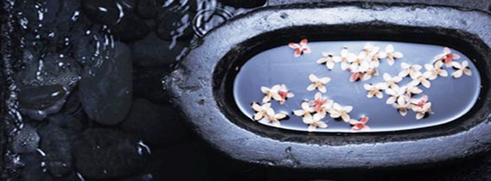 627/Vivanta by Taj - Panaji (North Goa) 13.jpg